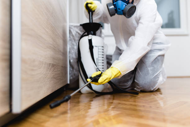 Best Best Pest Control Near Me  in Augusta, KS