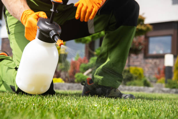 Best Pest Control for Businesses  in Augusta, KS