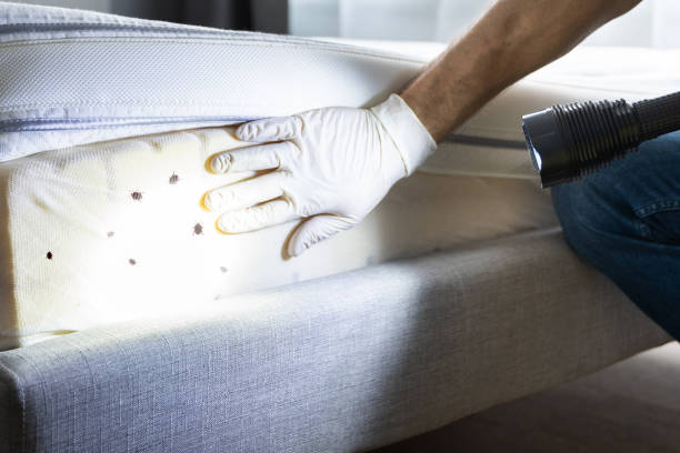 Best Pest Control Near Me  in Augusta, KS