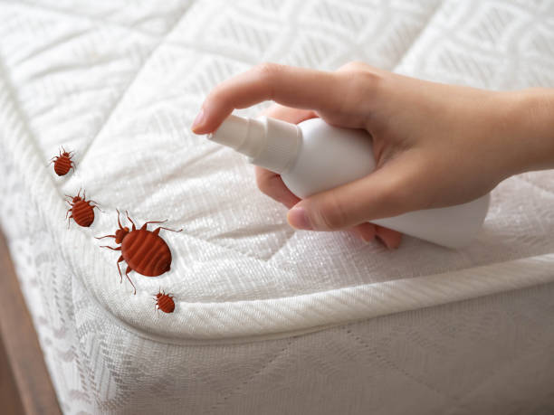 Best Cockroach Control Services  in Augusta, KS