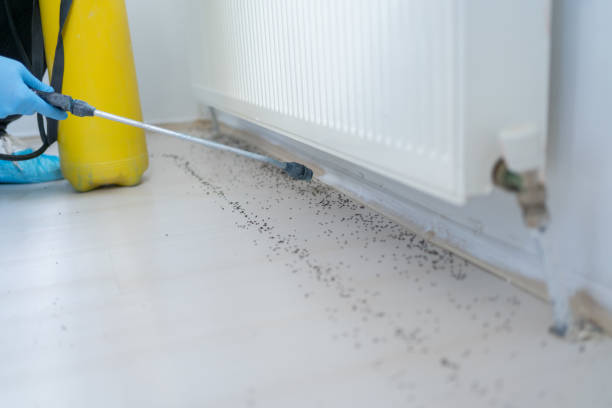 Best Mosquito Control Services  in Augusta, KS