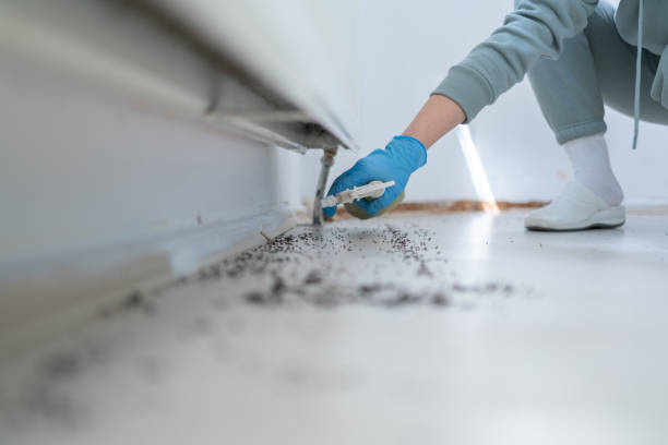 Professional Pest Control in Augusta, KS