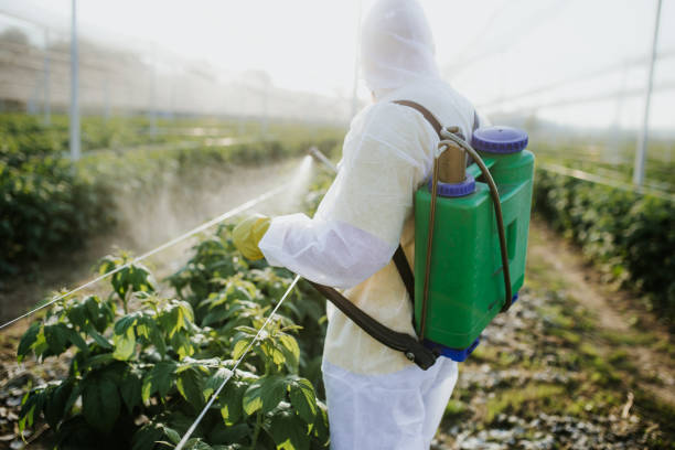 Best Pest Prevention Services  in Augusta, KS